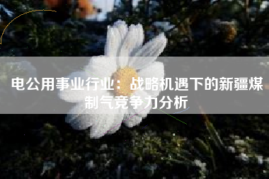 电公用事业行业：战略机遇下的新疆煤制气竞争力分析