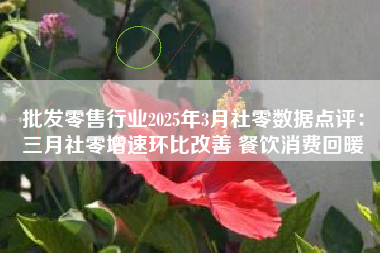批发零售行业2025年3月社零数据点评：三月社零增速环比改善 餐饮消费回暖