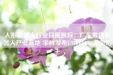 人形机器人行业日度跟踪：广东筹建机器人产业高地 宇树发布UNITREEDEX5灵巧手