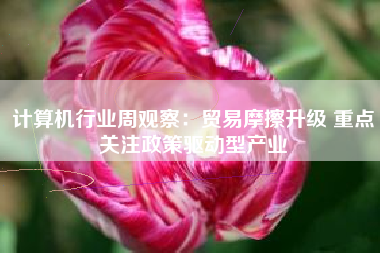 计算机行业周观察：贸易摩擦升级 重点关注政策驱动型产业