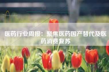 医药行业周报：聚焦医药国产替代及医药消费复苏