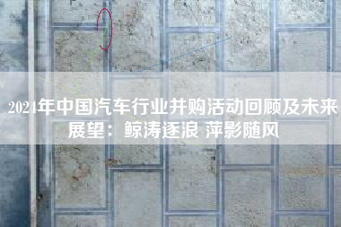 2024年中国汽车行业并购活动回顾及未来展望：鲸涛逐浪 萍影随风