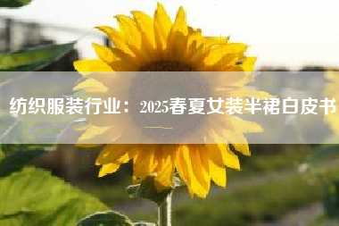 纺织服装行业：2025春夏女装半裙白皮书