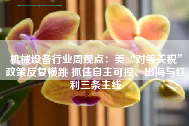 机械设备行业周观点：美“对等关税”政策反复横跳 抓住自主可控、出海与红利三条主线