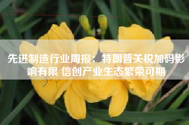 先进制造行业周报：特朗普关税加码影响有限 信创产业生态繁荣可期