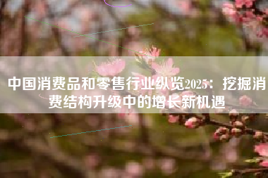 中国消费品和零售行业纵览2025：挖掘消费结构升级中的增长新机遇
