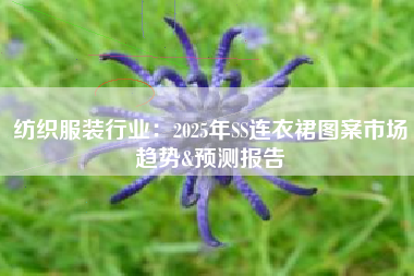 纺织服装行业：2025年SS连衣裙图案市场趋势&预测报告