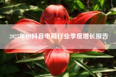 2025年Q1抖音电商行业季度增长报告