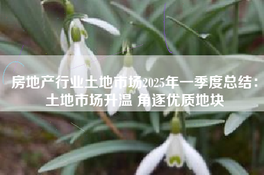 房地产行业土地市场2025年一季度总结：土地市场升温 角逐优质地块