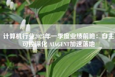 计算机行业2025年一季度业绩前瞻：自主可控深化 AIAGENT加速落地