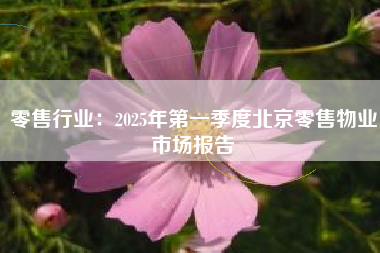 零售行业：2025年第一季度北京零售物业市场报告