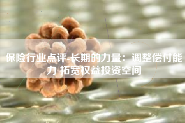 保险行业点评-长期的力量：调整偿付能力 拓宽权益投资空间