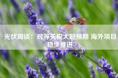 光伏周谈：对等关税大超预期 海外项目稳步推进