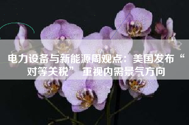 电力设备与新能源周观点：美国发布“对等关税” 重视内需景气方向
