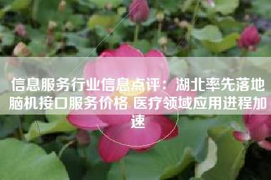 信息服务行业信息点评：湖北率先落地脑机接口服务价格 医疗领域应用进程加速