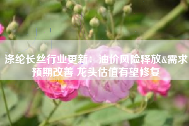 涤纶长丝行业更新：油价风险释放&需求预期改善 龙头估值有望修复