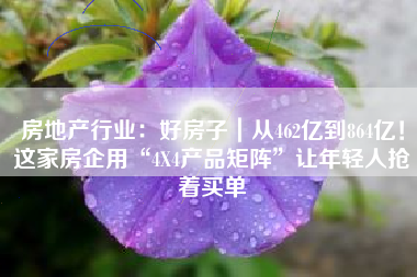 房地产行业：好房子｜从462亿到864亿！这家房企用“4X4产品矩阵”让年轻人抢着买单