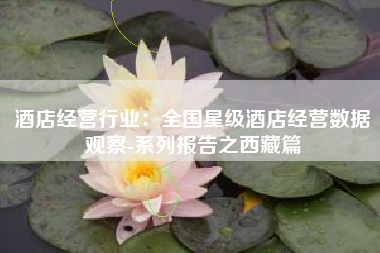酒店经营行业：全国星级酒店经营数据观察-系列报告之西藏篇