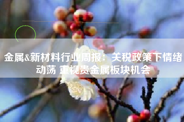 金属&新材料行业周报：关税政策下情绪动荡 重视贵金属板块机会