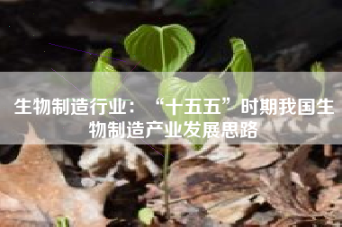 生物制造行业：“十五五”时期我国生物制造产业发展思路