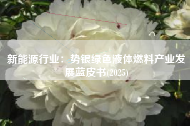新能源行业：势银绿色液体燃料产业发展蓝皮书(2025)