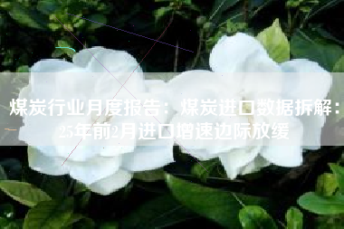 煤炭行业月度报告：煤炭进口数据拆解：25年前2月进口增速边际放缓