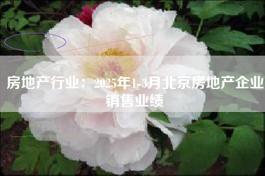 房地产行业：2025年1-3月北京房地产企业销售业绩