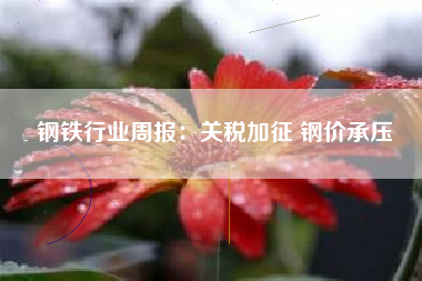 钢铁行业周报：关税加征 钢价承压