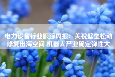 电力设备行业跟踪周报：关税壁垒松动修复出海空间 机器人产业确定弹性大