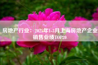 房地产行业：2025年1-3月上海房地产企业销售业绩TOP20