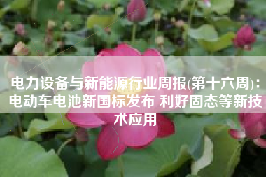 电力设备与新能源行业周报(第十六周)：电动车电池新国标发布 利好固态等新技术应用
