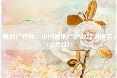 房地产行业：中国房地产企业监测报告(2025年3月)