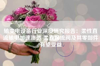 输变电设备行业深度研究报告：柔性直流输电加速渗透 柔直换流阀及其零部件有望受益