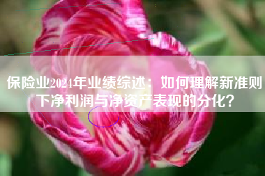 保险业2024年业绩综述：如何理解新准则下净利润与净资产表现的分化？