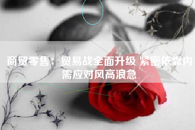 商贸零售：贸易战全面升级 紧密依靠内需应对风高浪急