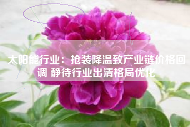 太阳能行业：抢装降温致产业链价格回调 静待行业出清格局优化