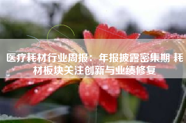 医疗耗材行业周报：年报披露密集期 耗材板块关注创新与业绩修复