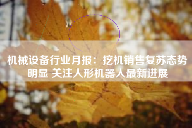 机械设备行业月报：挖机销售复苏态势明显 关注人形机器人最新进展