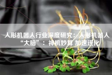 人形机器人行业深度研究：人形机器人“大脑”：神机妙算 加速进化