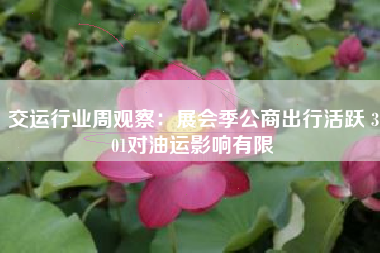 交运行业周观察：展会季公商出行活跃 301对油运影响有限