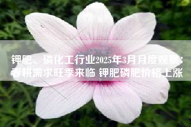 钾肥、磷化工行业2025年3月月度观察：春耕需求旺季来临 钾肥磷肥价格上涨