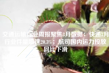交通运输行业周报聚焦3月数据：快递3月行业件量增速20.3%；航司国内运力投放同比下滑