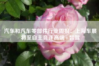 汽车和汽车零部件行业周报：上海车展将至自主竞逐高端+智驾