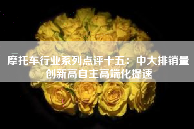摩托车行业系列点评十五：中大排销量创新高自主高端化提速