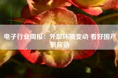 电子行业周报：外部环境变动 看好国产供应链