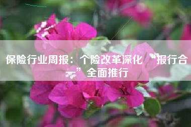 保险行业周报：个险改革深化 “报行合一”全面推行