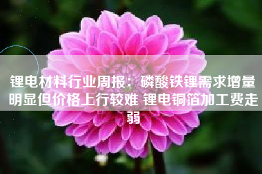 锂电材料行业周报：磷酸铁锂需求增量明显但价格上行较难 锂电铜箔加工费走弱