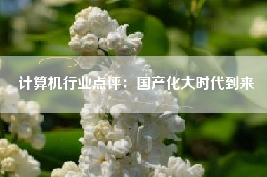 计算机行业点评：国产化大时代到来