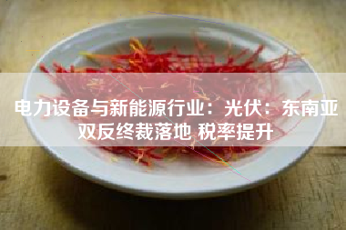 电力设备与新能源行业：光伏：东南亚双反终裁落地 税率提升