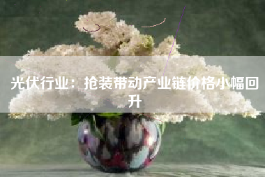 光伏行业：抢装带动产业链价格小幅回升
